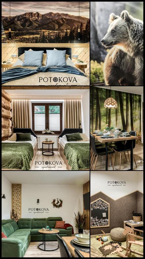 Potokova Apartament Centrum, Zakopane