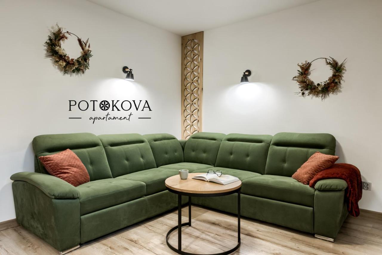 Potokova Apartament Centrum — Photos 1